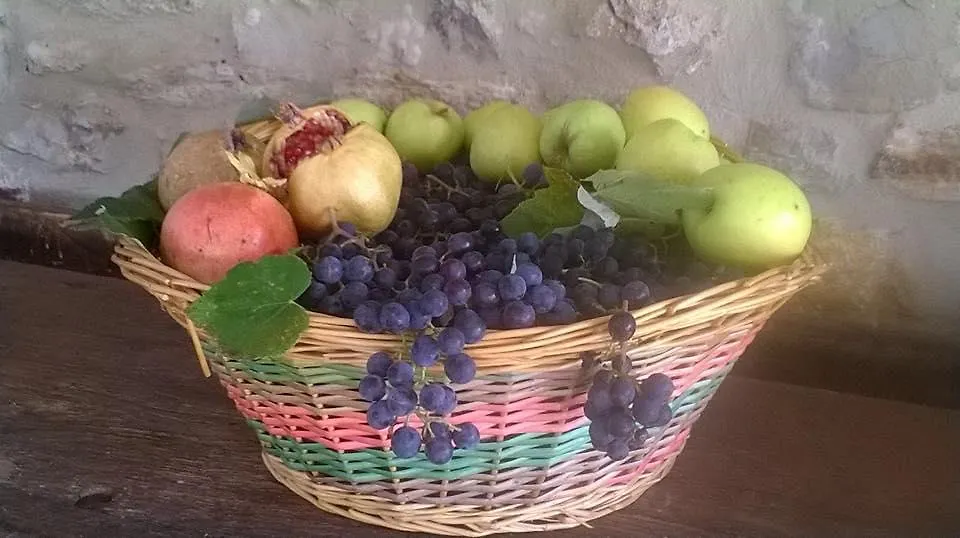 Farm stay Agriturismo Scannano Villa Serre Di Rapolano